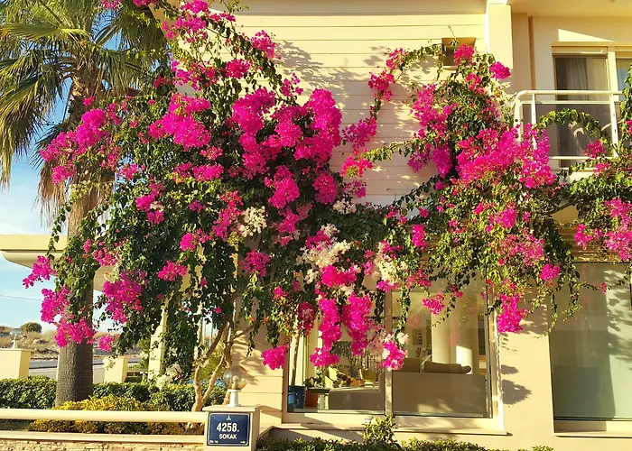 Exclusive & Отель